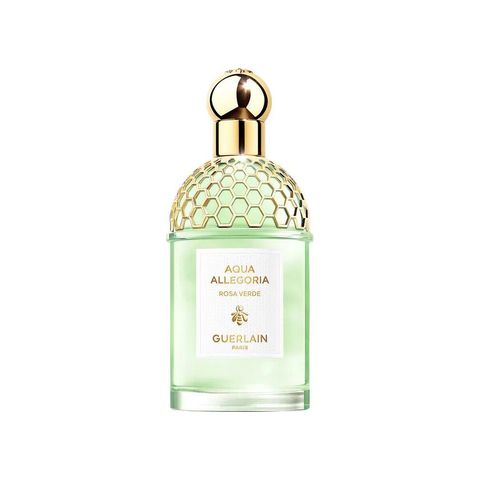Aqua Allegoria Rosa Verde