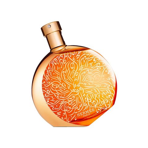 Elixir Des Merveilles Calligraphie