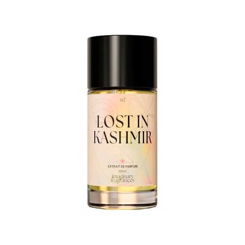 Lost In Kashmir