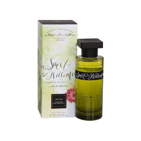 Sweet William