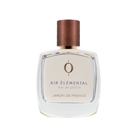 Air Elemental