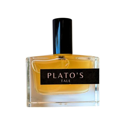 Plato's Tale