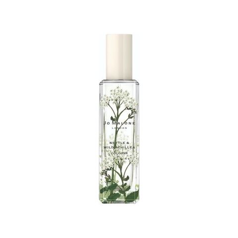 Nettle & Wild Achillea