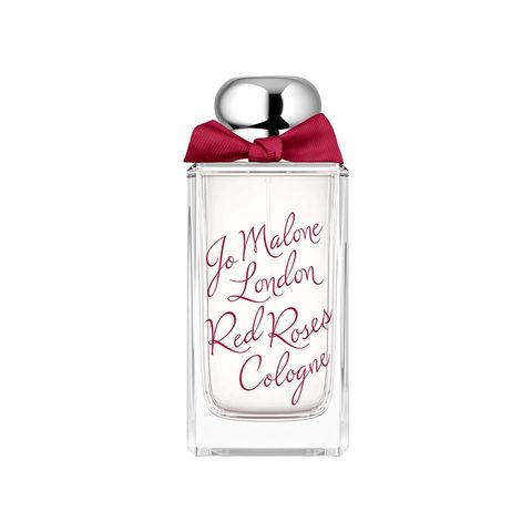 Red Roses Cologne
