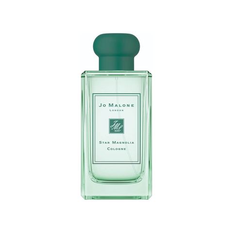 Star Magnolia Cologne (2019)