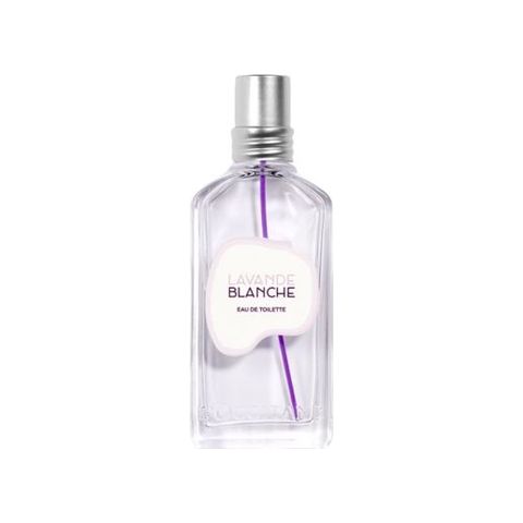 Lavande Blanche