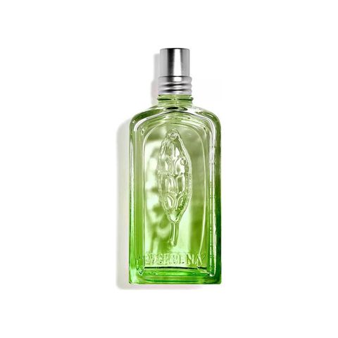 Verveine Cactus