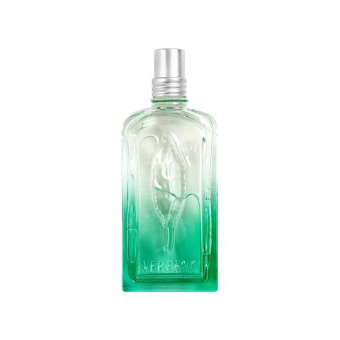 Verveine Fleur de Carotte