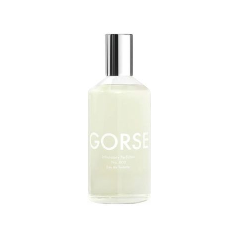 Gorse