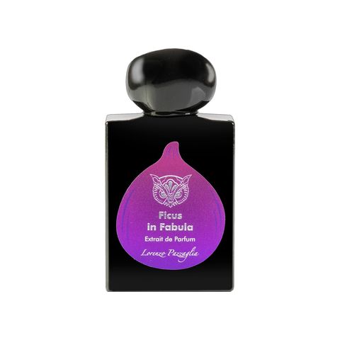 Ficus in Fabula - Limited Edition