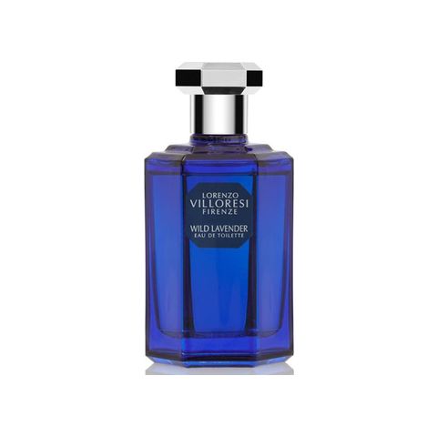 Wild Lavender