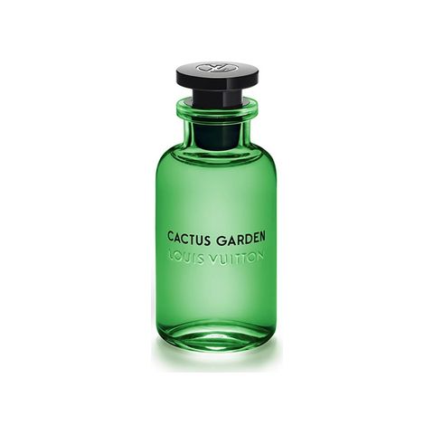Cactus Garden