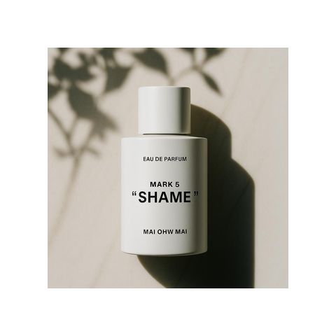 MARK 5: SHAME