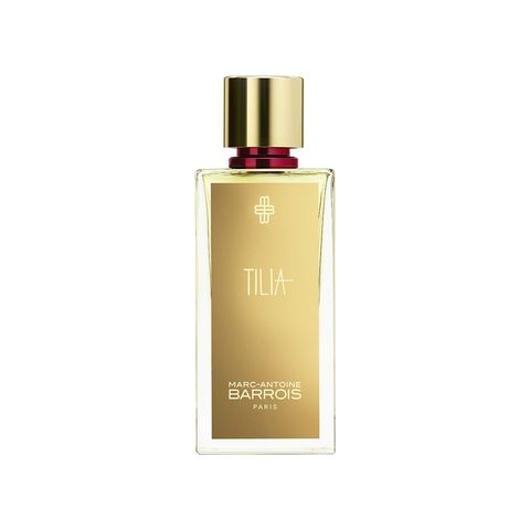 Tilia