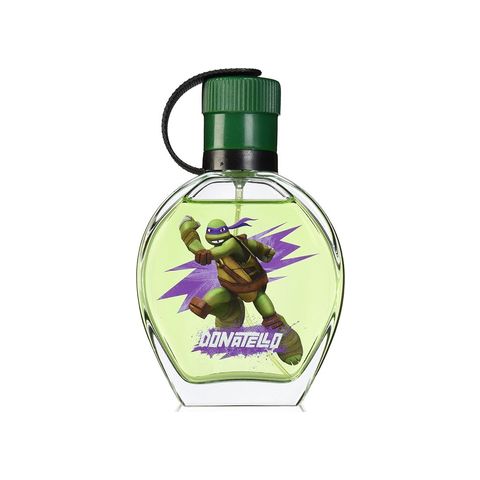 Teenage Mutant Ninja Turtles Donatello