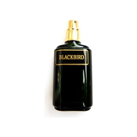Blackbird