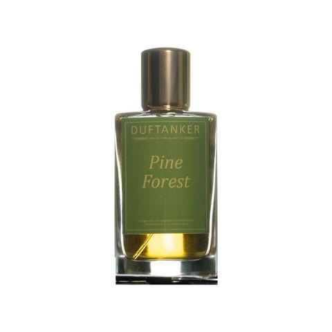 Pine Forest