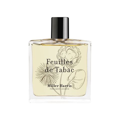 Feuilles de Tabac