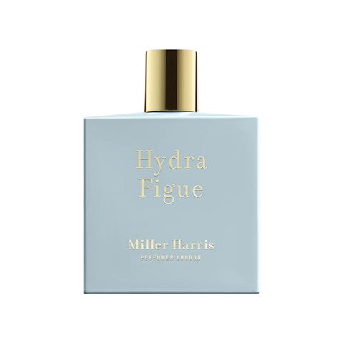 Hydra Figue
