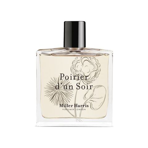 Poirier d'un Soir