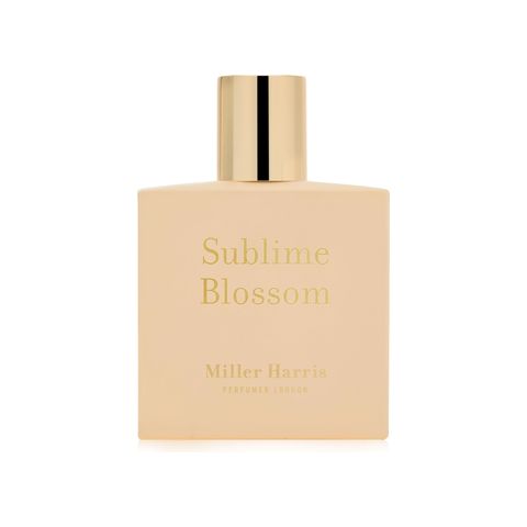 Sublime Blossom