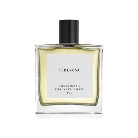 Tuberosa