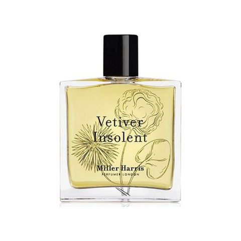 Vetiver Insolent