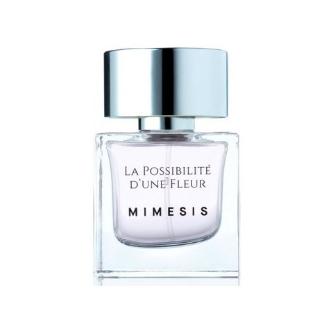 La Possibilité d'Une Fleur