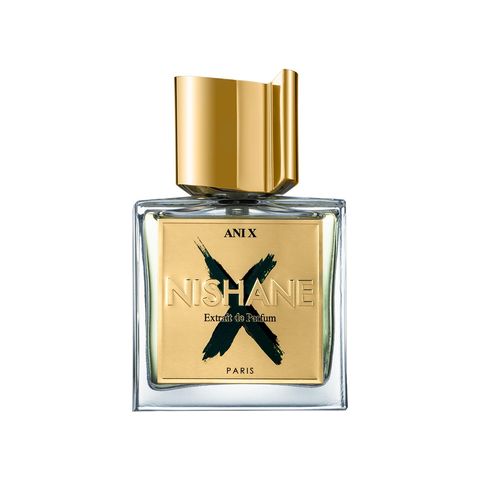 Ani X