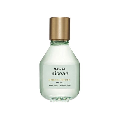 Aloeae