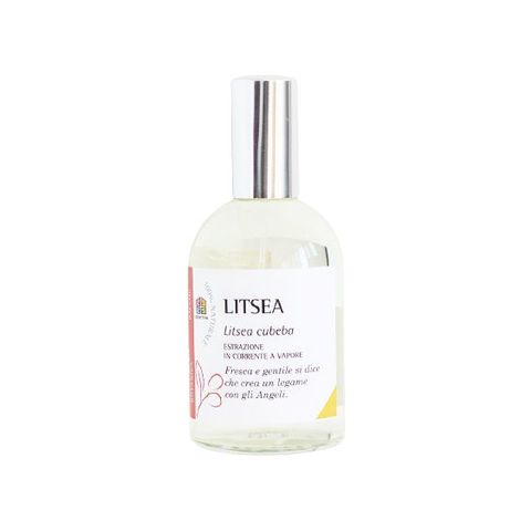 Litsea