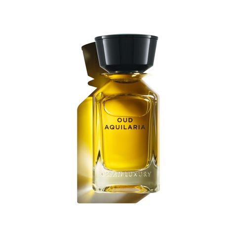 Oud Aquilaria
