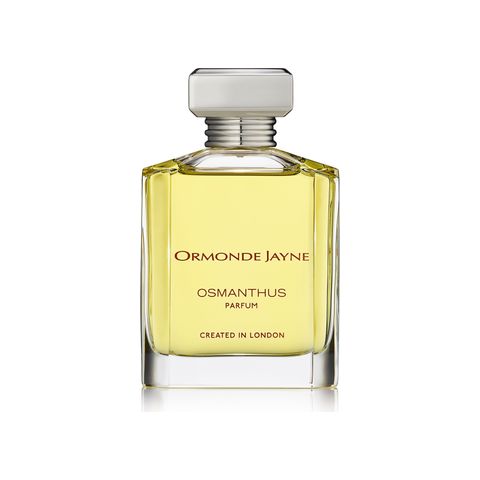 Osmanthus