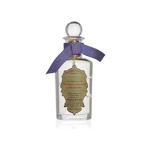 Lavandula