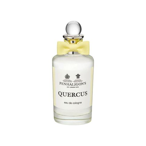 Quercus