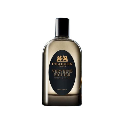 Verveine Figuier