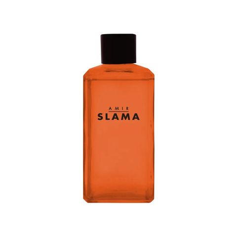 Amir Slama Raiz