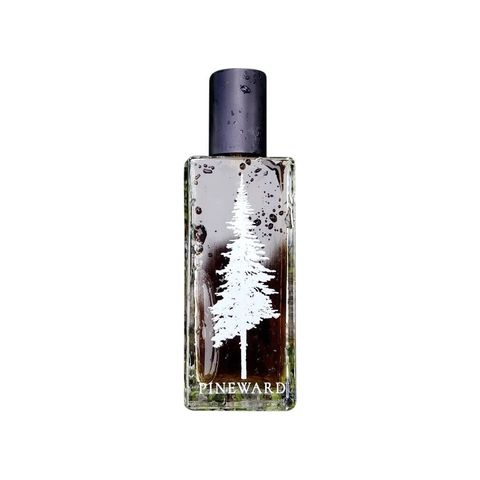 Juniperus