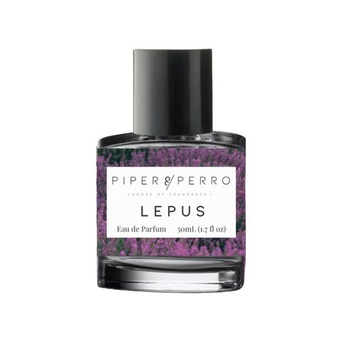 Lepus
