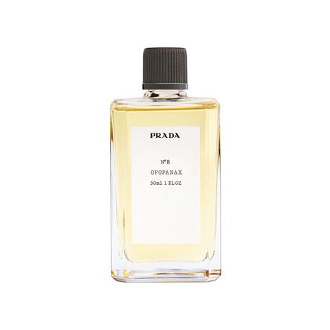 No8 Opopanax
