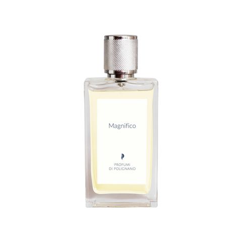 Magnifico