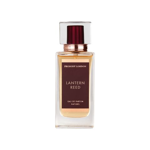 Lantern Reed