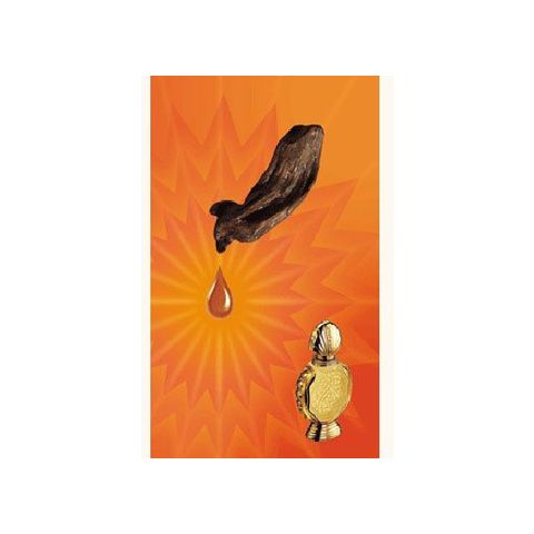 Shatha Al Oudh
