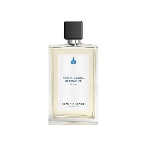 Sous un Mimosa de Provence