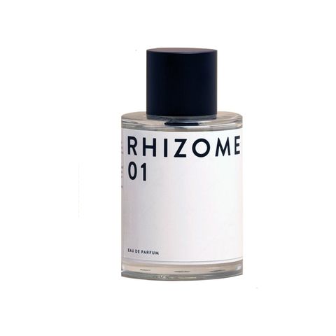 Rhizome 01
