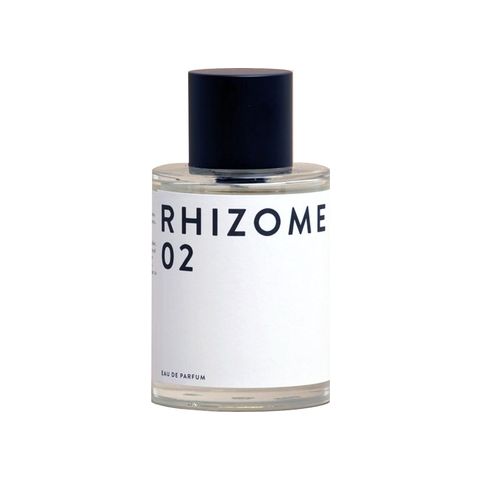 Rhizome 02