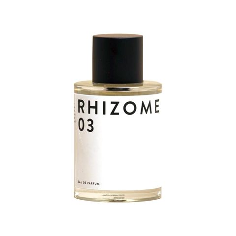 Rhizome 03