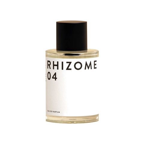 Rhizome 04