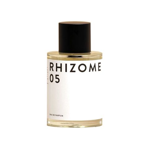 Rhizome 05