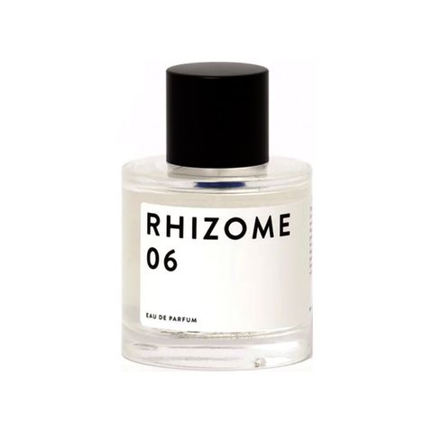 Rhizome 06